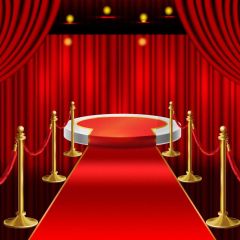 Carpet Pillar Curtain Photography Scenery Backdrop Stage Carpet Theme Banner BVU-268