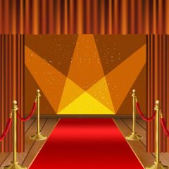 Light Carpet Pillar Photography Scenery Backdrop Stage Carpet Theme Banner BVU-269