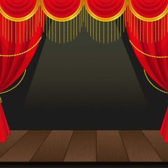 Curtain Floor Photography Scenery Backdrop Stage Carpet Theme Banner BVU-273