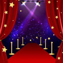 Pillar Curtain Star Photography Scenery Backdrop Stage Carpet Theme Banner BVU-297