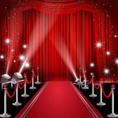 Curtain Red Carpet Pillar Photography Scenery Backdrop Stage Carpet Theme Banner BVU-298