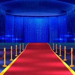 Pillar Red Carpet Photography Scenery Backdrop Stage Carpet Theme Banner BVU-299