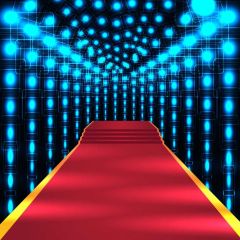 Light Red Carpet Photography Scenery Backdrop Stage Carpet Theme Banner BVU-302
