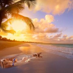 Sea Bottle Cloud Tree Photography Scenery Backdrop Ocean Theme Banner BVU-316