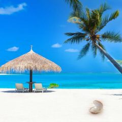 Sea Chair Tree Photography Scenery Backdrop Ocean Theme Banner BVU-319