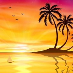 Sunset Tree Bird Photography Scenery Backdrop Ocean Theme Banner BVU-324