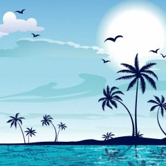 Sea Sun Cloud Bird Photography Scenery Backdrop Ocean Theme Banner BVU-330