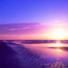 Sea Sunset Photography Scenery Backdrop Ocean Theme Banner BVU-337