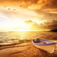 Sea Boat Bird Photography Scenery Backdrop Ocean Theme Banner BVU-339