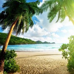 Sea Cloud Tree Photography Scenery Backdrop Ocean Theme Banner BVU-341