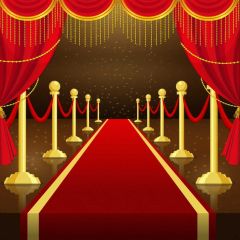 Pillar Curtain Light Photography Scenery Backdrop Stage Carpet Theme Banner BVU-345