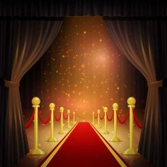 Carpet Pillar Light Photography Scenery Backdrop Stage Carpet Theme Banner BVU-358