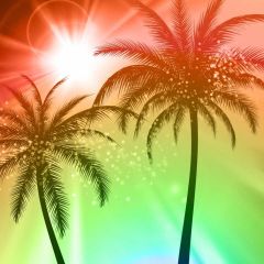 Tree Sun Photography Scenery Backdrop Ocean Theme Banner BVU-365