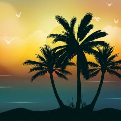 Tree Sunset Photography Scenery Backdrop Ocean Theme Banner BVU-366