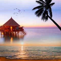 Tree Sea Photography Scenery Backdrop Ocean Theme Banner BVU-377