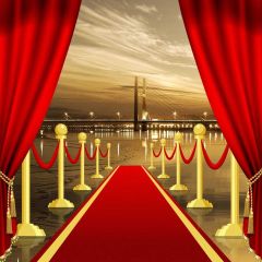 Pillar Carpet Photography Scenery Backdrop Stage Carpet Theme Banner BVU-388