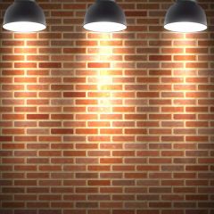 Brick Light Photography Scenery Backdrop Wall Theme Banner BVU-390