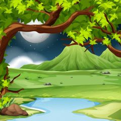 Tree Hill Photography Scenery Backdrop Nature Theme Banner BVU-398