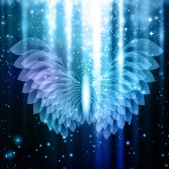 Star Animal Photography Scenery Backdrop Starlight Shine Theme Banner BVU-399