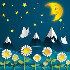 Moon Star Photography Scenery Backdrop Night Theme Banner BVU-405