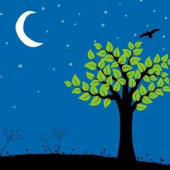 Tree Bird Photography Scenery Backdrop Night Theme Banner BVU-410