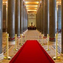 Carpet Pillar Photography Scenery Backdrop Arches or Pillars Theme Banner BVU-417