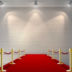 Pillar Carpet Photography Scenery Backdrop Stage Carpet Theme Banner BVU-432