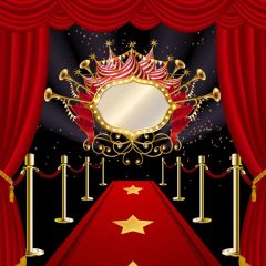 Curtain Pillar Photography Scenery Backdrop Stage Carpet Theme Banner BVU-447