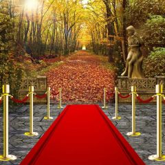 Pillar Carpet Photography Scenery Backdrop Stage Carpet Theme Banner BVU-459