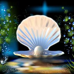 Shell Grass Photography Scenery Backdrop Ocean Theme Banner BVU-461