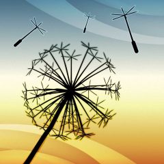 Light Dandelion Photography Scenery Backdrop Cartoon Theme Banner BVU-465