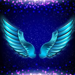 Bird Blue Photography Scenery Backdrop Birthday Party Theme Banner BVU-497