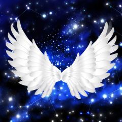 Bird Lights Photography Scenery Backdrop Birthday Party Theme Banner BVU-500