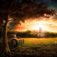 Tree House Photography Scenery Backdrop Nature Theme Banner BVU-581