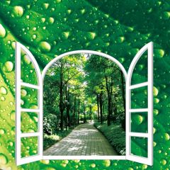 Forest Door Photography Scenery Backdrop Forest Theme Banner BVU-586