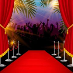 Carpet Pillar Photography Scenery Backdrop Stage Carpet Theme Banner BVU-607