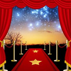 Carpet Curtain Photography Scenery Backdrop Stage Carpet Theme Banner BVU-620