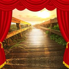 Curtain Floor Photography Scenery Backdrop Stage Carpet Theme Banner BVU-621