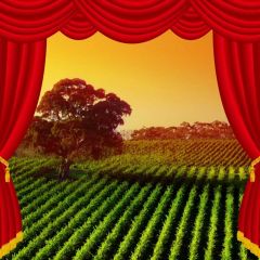Curtain Grass Photography Scenery Backdrop Stage Carpet Theme Banner BVU-622