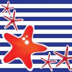 Star Stripe Photography Scenery Backdrop Ocean Theme Banner BVU-654