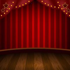 Curtain Floor Photography Scenery Backdrop Stage Carpet Theme Banner BVU-668