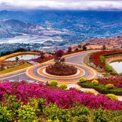 Sky Flower Photography Scenery Backdrop Nature Theme Banner BVU-714