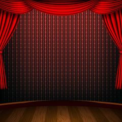 Curtain Floor Photography Scenery Backdrop Stage Carpet Theme Banner BVU-719