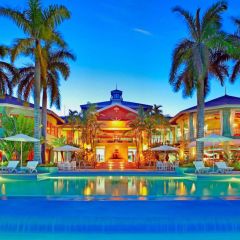 House Tree Photography Scenery Backdrop Housing Theme Banner BVU-742