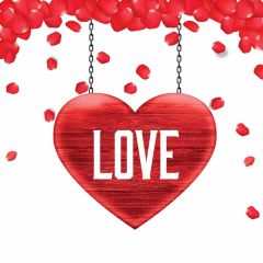 Heart Red Photography Scenery Backdrop Love Theme Banner BVU-744