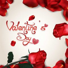 Valentine Rose Photography Scenery Backdrop Love Theme Banner BVU-757
