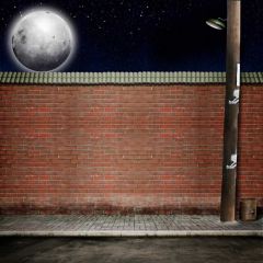 Moon Wall Photography Scenery Backdrop Wall Theme Banner BVU-767
