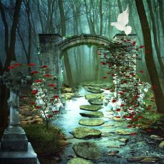 Dove Rose Photography Scenery Backdrop Nature Theme Banner BVU-769