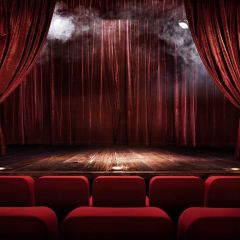 Curtain Chair Photography Scenery Backdrop Stage Carpet Theme Banner BVU-772