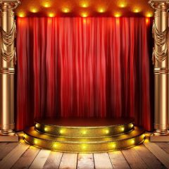Pillar Curtain Photography Scenery Backdrop Stage Carpet Theme Banner BVU-786